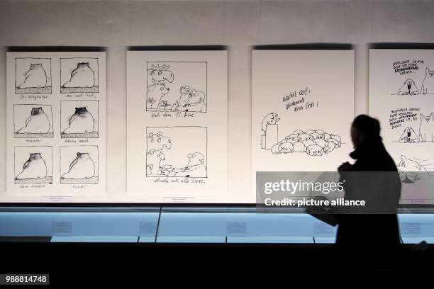 Visitor stands in front of drawings from the exhibition "Robert Gernhardt" at the Museum fuer Komische Kuenste in Frankfurt am Main, Germany, 12...