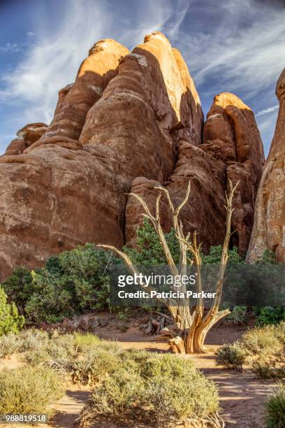 canyonlands - rocky parker stock pictures, royalty-free photos & images