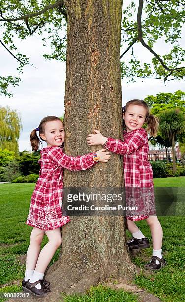 twin girls hugging a tree in the park - newpremiumuk stock-fotos und bilder