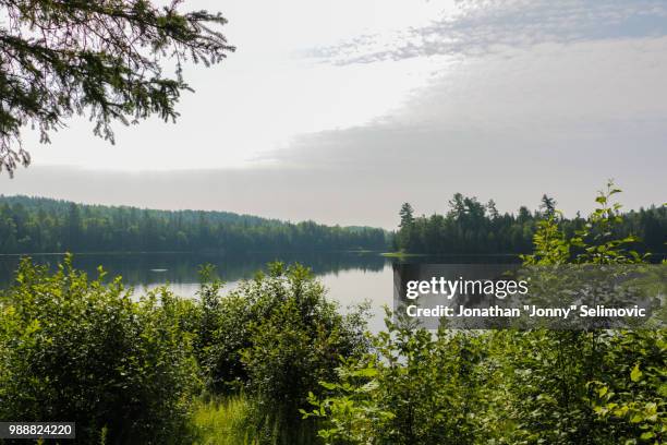 whitefish lake landscape view - whitefish lake stockfoto's en -beelden