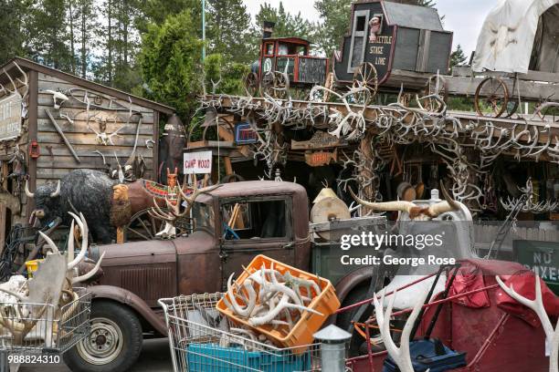 An odd roadside attraction called Fort Hungry Horse, sells animal antlers, bear skin rugs, stuffed animals, in addition to unusual antiques, as...