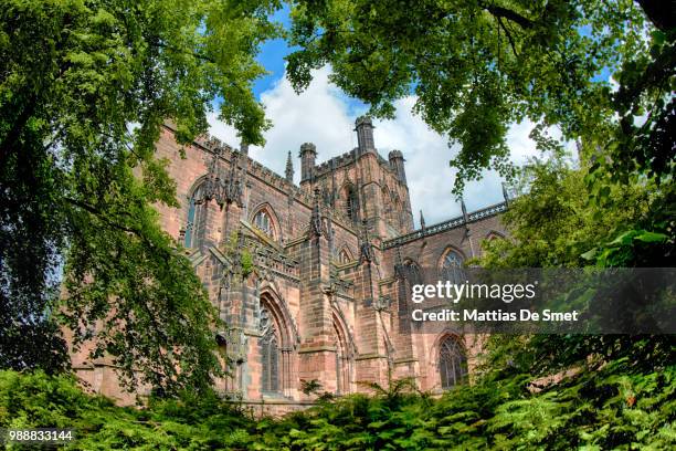 chester cathedral through tree branches - chester cathedral fotografías e imágenes de stock