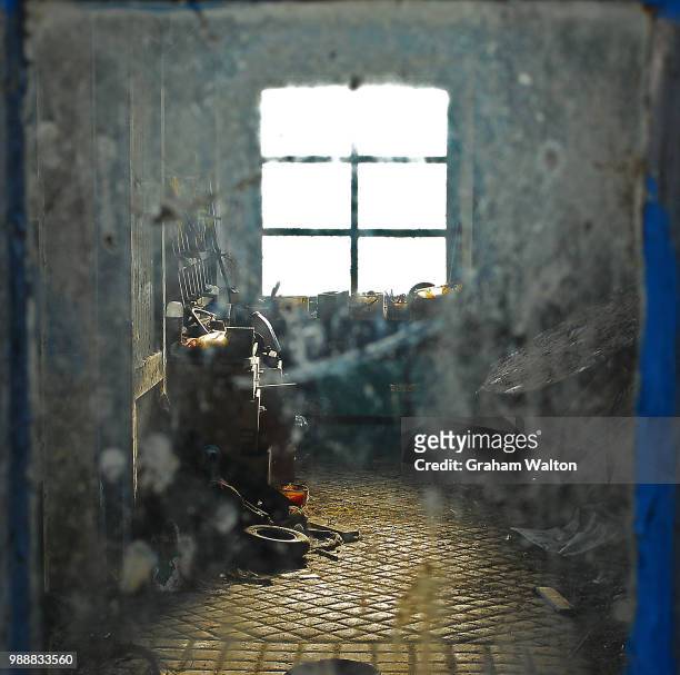 looking in - egyptian military stock pictures, royalty-free photos & images
