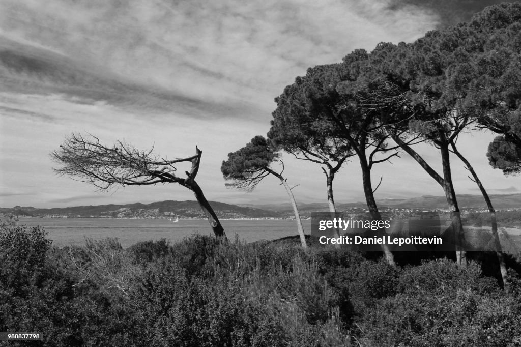 Ile Sainte Marguerite 3