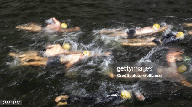 July 2018, Germany, Berlin: Participants in the river swimming contest 'Berliner Flussbad-Pokal' swim along the river Spree, all the way from the...