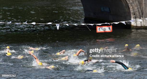 July 2018, Germany, Berlin: Participants in the river swimming contest 'Berliner Flussbad-Pokal' swim along the river Spree, all the way from the...