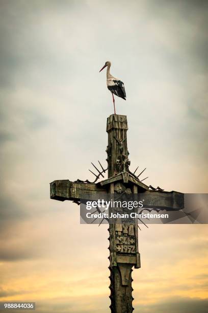 Stork Rower 980 Stork Tower Stock Photos, High-Res Pictures, and Images - Getty Images