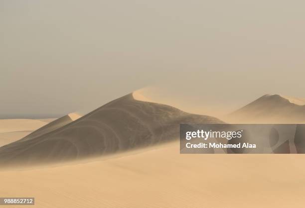 dunes of qatar - qatar desert foto e immagini stock