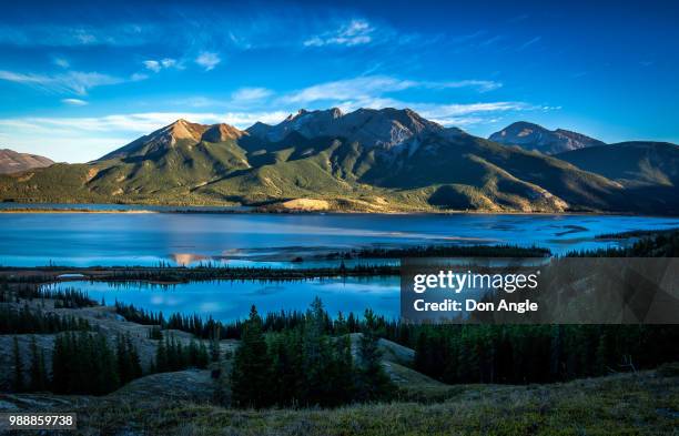 athabasca river - athabasca river stock pictures, royalty-free photos & images