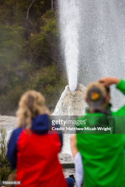 the lady knox geyser in rotarua's waiotapu geothermal park. - waiotapu thermal park stock pictures, royalty-free photos & images