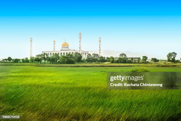 hat yai central mosque - hat yai bildbanksfoton och bilder