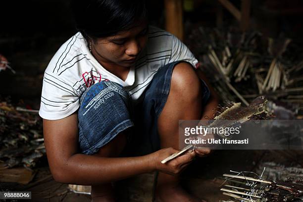 Worker prepares geckos to be dried for export and used in medicine and skin care products on May 6, 2010 in Probolinggo, East Java, Indonesia. Gecko...