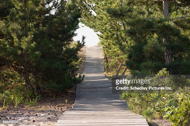 boardwalk footpath to the beach. - newhealth stock pictures, royalty-free photos & images