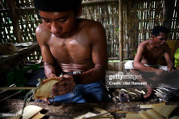 Workers prepare geckos to be dried for export and used in medicine and skin care products on May 6, 2010 in Probolinggo, East Java, Indonesia. Gecko...