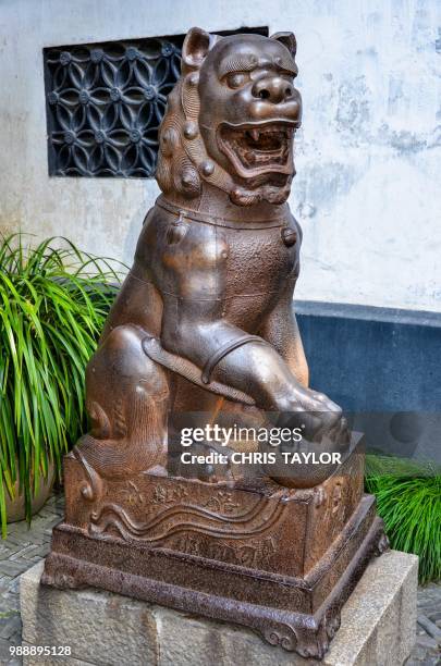 bronze lion - bronze boot stock pictures, royalty-free photos & images