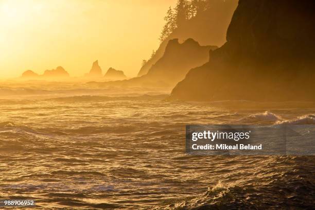 rialto beach - rialto beach stock pictures, royalty-free photos & images