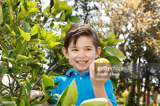 boy holding out an orange in his hand - newhealth foto e immagini stock