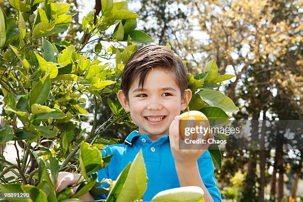 boy holding out an orange in his hand - newhealth stock pictures, royalty-free photos & images