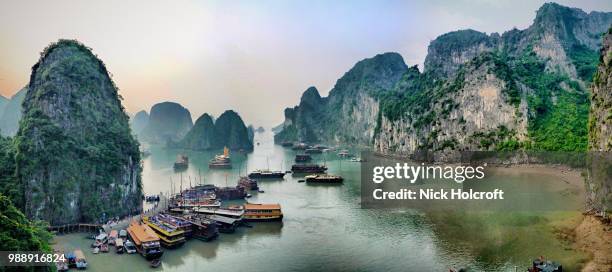 halong bay, vietnam - holcroft stock pictures, royalty-free photos & images