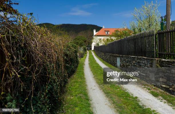 country road in the village in wachau valley formed by the danube river - melk austria stock pictures, royalty-free photos & images