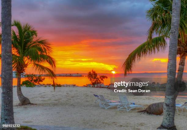 abaco bahama sunrise in january - abaco stock pictures, royalty-free photos & images