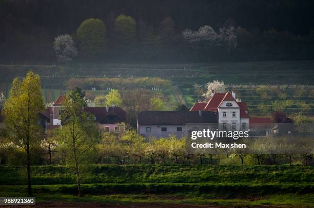 landscape of wachau valley formed by the danube river - melk austria stock pictures, royalty-free photos & images