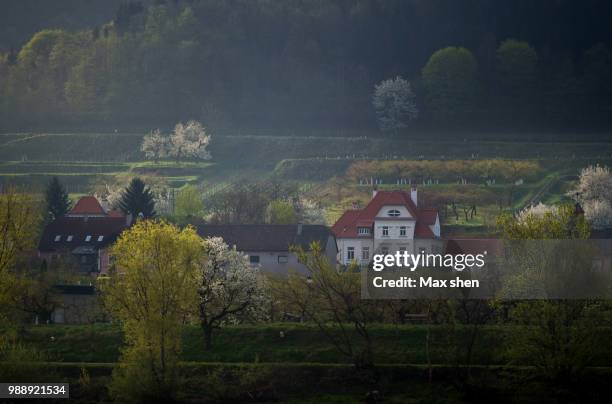 landscape of wachau valley formed by the danube river - melk austria stock pictures, royalty-free photos & images