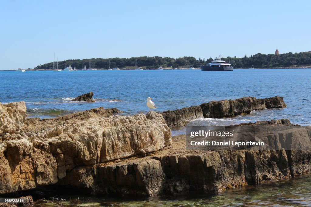 Ile Sainte Marguerite 6