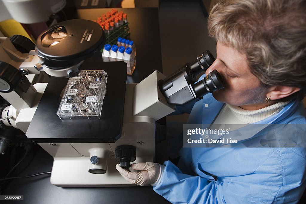 Blood Samples in Microscope 2