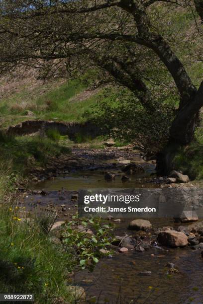 Cod Beck Cod Beck Reservoir Photos and Premium High Res Pictures - Getty Images