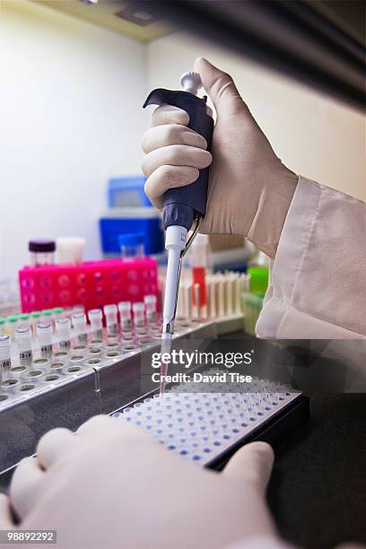 pipettor filling microplate with blood sample - microplate stock pictures, royalty-free photos & images