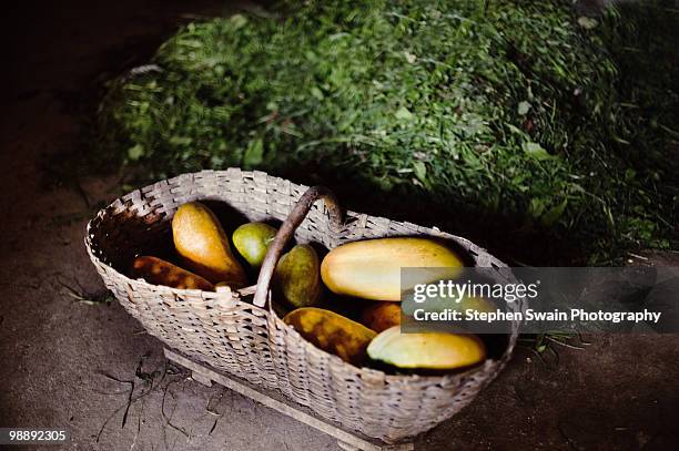 marrows in a basket - newhealth stock-fotos und bilder