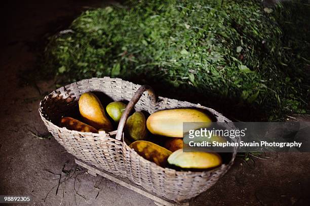marrows in a basket - newhealth stock pictures, royalty-free photos & images