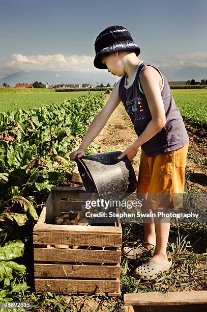 organic farming - newfamily stock pictures, royalty-free photos & images