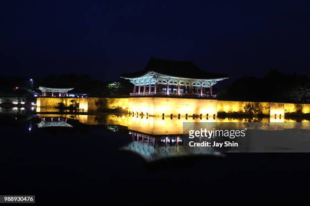 trip to gyeongju - east palace and moon lake - lake palace stockfoto's en -beelden
