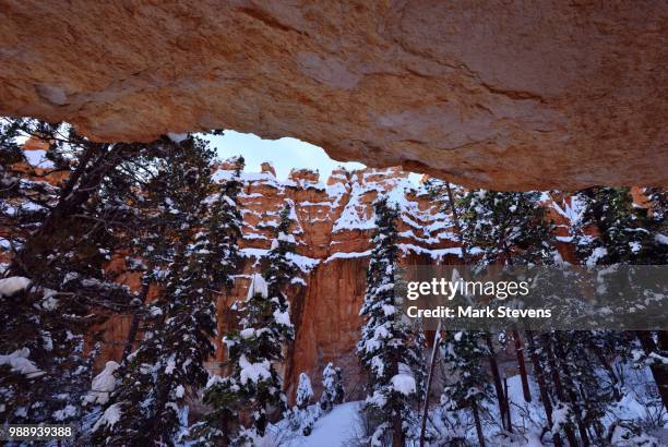 Tree Overhang 2,554 Tree Overhang Stock Photos, High-Res Pictures, and Images - Getty ...