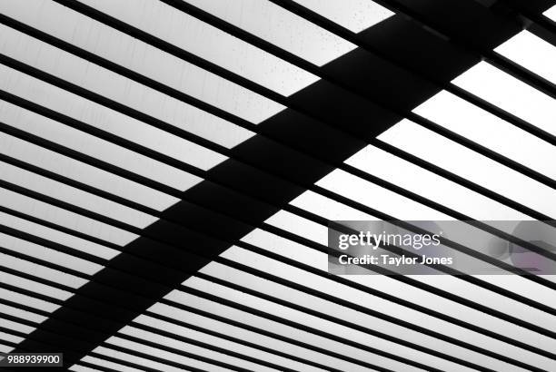 pergola, hermann park - hermann park stock pictures, royalty-free photos & images