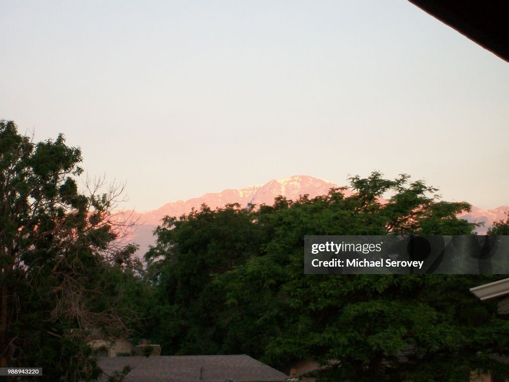 Pink Pike's Peak and Trees 8