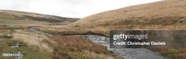 river avon in dartmoor - avon river stock pictures, royalty-free photos & images