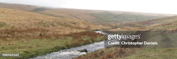 river avon in dartmoor - avon river photos et images de collection