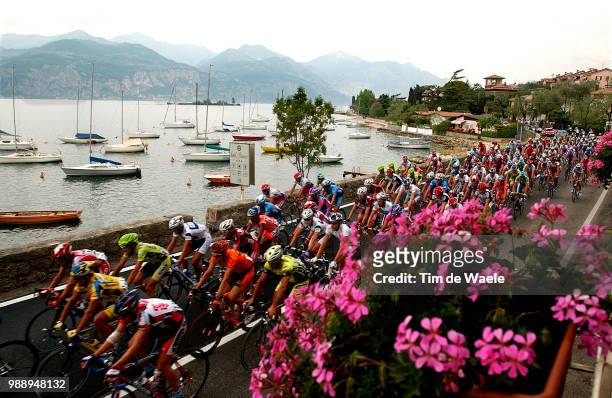 Giro D'Italia 2003 /Illustration, Illustratie, Peleton, Peloton, Paysage, Landscape, Landschap, Lac De Garda, Garda Meer, Garda Lake, Stage 16 : Arco...