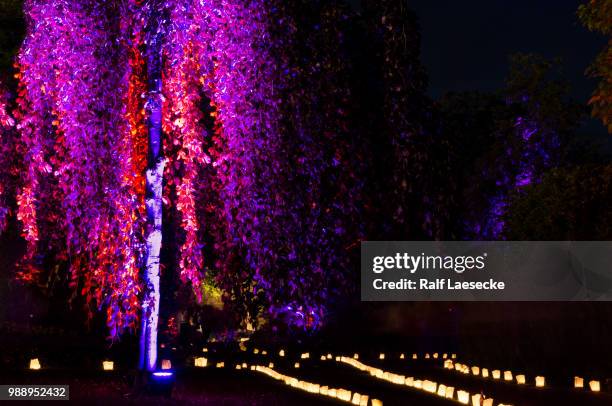 nacht der 1000 lichter - siegen fotografías e imágenes de stock