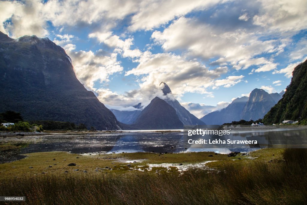 Milford Sound