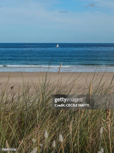 plage et mer des sables d'or  ! - mer plage stock pictures, royalty-free photos & images