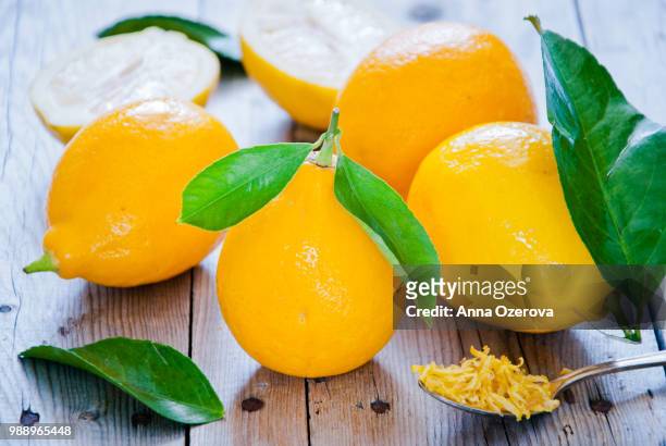 fresh lemons - lemon leaf stock pictures, royalty-free photos & images