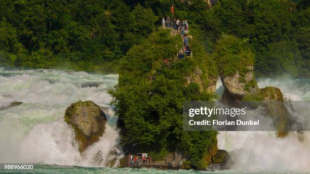 rhine falls - florian schweizer stock-fotos und bilder