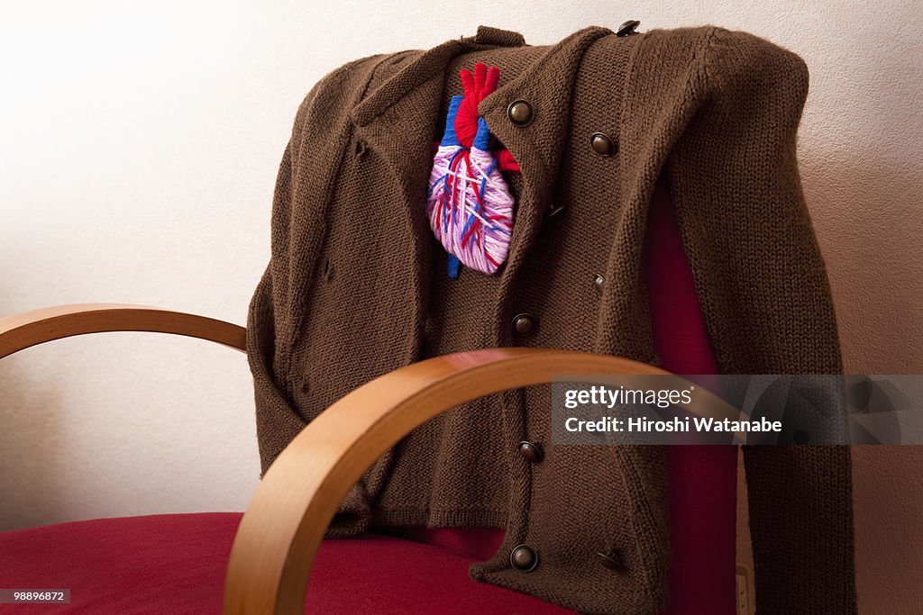 A knit jacket with the applique of internal organs