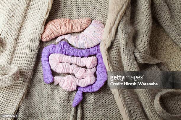 a knit jacket with the applique of internal organs - intestine - fotografias e filmes do acervo