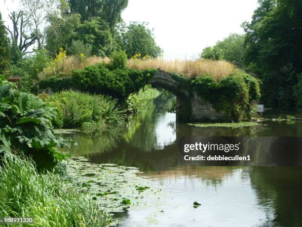 a bridge over a lake in the grounds of warwick castle, warwickshire, england, uk. - warwick castle stock pictures, royalty-free photos & images