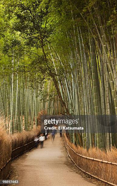 bamboo grove, kyoto - ei stock pictures, royalty-free photos & images
